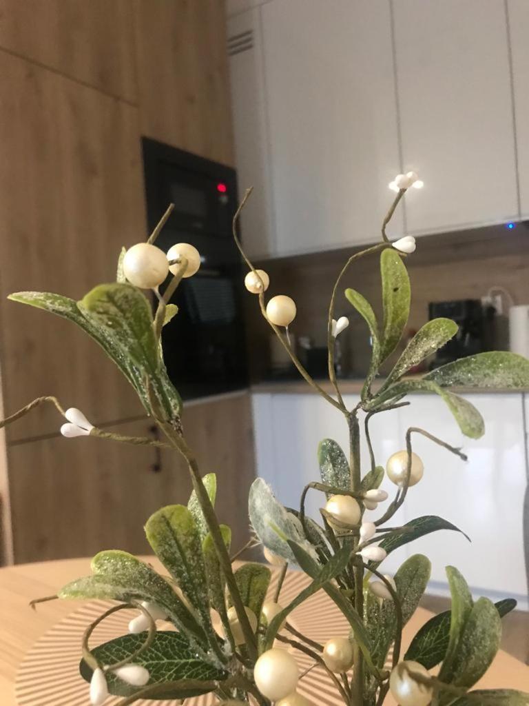Apartament Kameralis Old Town - Klimatyzacja - Balkon - Winda Elblag Luaran gambar